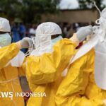 Gesundheit: WHO erklärt Ebola-Ausbruch zum internationalen Notfall