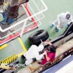 Laut WHO wird das Hantavirus wahrscheinlich zwischen Passagieren auf Kreuzfahrtschiffen verbreitet