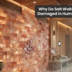 Können Himalaya-Salzwände der Luftfeuchtigkeit in Sauna und Spa standhalten? – Film Daily