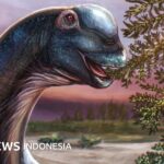 Geschichte: In Thailand wurde anhand von Fossilien ein riesiger Dinosaurier identifiziert, der „neun erwachsenen Elefanten entspricht“.