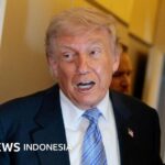 USA-Iran: Trump behauptet, neue Angriffe auf den Iran abzusagen
