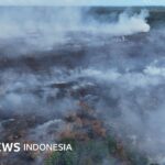 Karhutla: Warga Aceh Barat terdampak kebakaran di tepi konsesi sawit