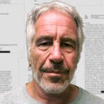 Warum ist das Internet so besessen von der „Epstein-Bibliothek“? – Film Daily