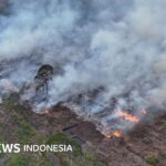 Wetter: El Niño beginnt, die Gefahr von Wald- und Landbränden sowie Dürre in Indonesien steigt