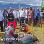 Papua: Hari-hari penuh kekerasan di Intan Jaya – Pendeta dan ibu hamil tewas ditembak, rombongan Gereja Katolik diberondong peluru