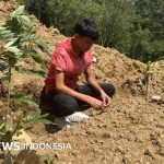 Hunderte Gräber wurden durch Erdrutsche in Zentral-Aceh verschüttet, die Bewohner hatten Mühe, Familiengräber zu finden