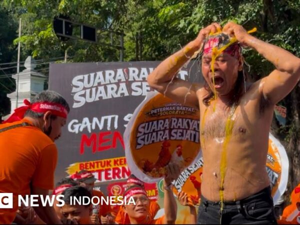 Ekonomi: Jeritan peternak di tengah banjir pasokan telur — 'Kalau turun lagi, sudah tidak bisa bayar pakan dan pegawai'