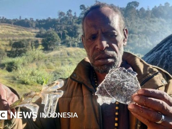 Hujan es dan embun beku lagi-lagi picu krisis pangan di Papua – 'Gudang logistik yang dijanjikan sebagai solusi oleh pemerintah selalu kosong'
