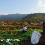 PSN: Bagaimana akar masalah konflik yang berujung penggusuran lahan petani Laoli untuk PSN?