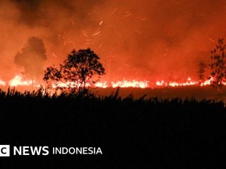 Karhutla membara di lahan gambut Kalimantan Tengah, sengaja dibakar?