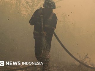 Kebakaran: Bagaimana warisan Orde Baru memicu karhutla di Kalimantan?