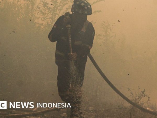 Kebakaran: Bagaimana warisan Orde Baru memicu karhutla di Kalimantan?