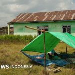 Gempa NTT: Pemerintah tolak bantuan dari negara lain, apa alasannya?