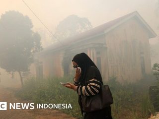 Karhutla: Empat perusahaan diselidiki di Kalimantan, pengamat minta 'jangan ada tebang pilih'