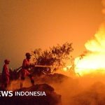 Ratusan orang jadi tersangka karhutla – Bisakah diusut tuntas tanpa dalami keterlibatan korporasi?