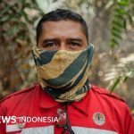 Kebakaran hutan: Relawan pemadam yang mempertaruhkan nyawa demi menjinakkan 'bom karbon'