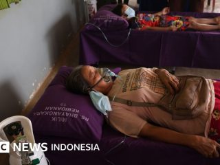 Karhutla: Sejauh mana negara dapat digugat?